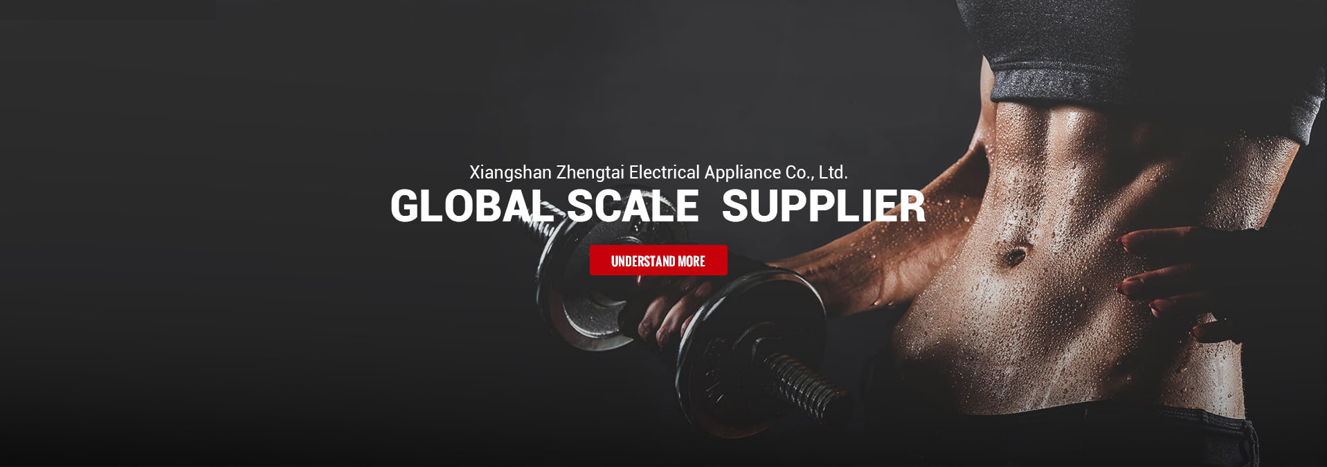 Gobal scale supplier