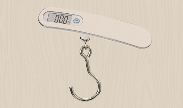 Digital Luggage Scale